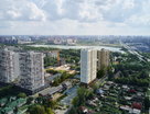 Толк Медный 4