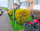 Студия, 29,7&nbsp;м²