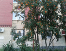 1-к. квартира, 51,7&nbsp;м²