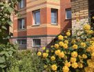 Помещение свободного назначения, 224,3&nbsp;м²