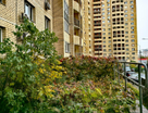2-к. квартира, 74,8&nbsp;м²