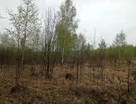 Участок (земля с/х назначения), 51 сот.