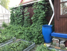 Двухэтажная дача, 100 м²
