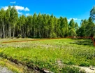Участок (ижс), 6,2 сот.