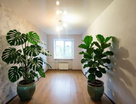 3-к. квартира, 55,8&nbsp;м²