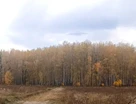 Участок (личное подсобное хозяйство), 10,2 сот.