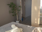 4-к. квартира, 81,6&nbsp;м²