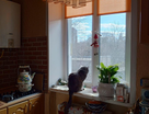 2-к. квартира, 36,8&nbsp;м²