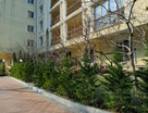 1-к. квартира, 530,2&nbsp;м²