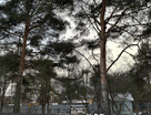 Участок (ижс), 10 сот.