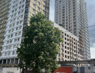 3-к. квартира, 67,2&nbsp;м²