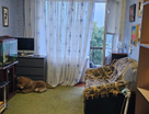 1-к. квартира, 30,5&nbsp;м²