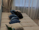 Студия, 12&nbsp;м²