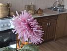 1-к. квартира, 35,7 м²