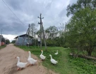 Участок (ижс), 10 сот.