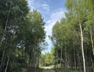 Участок (ижс), 20 сот.