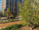 3-к. квартира, 67,5&nbsp;м²