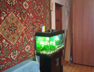 2-к. квартира, 36,9 м²