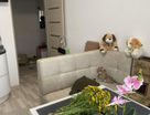 1-к. квартира, 37&nbsp;м²