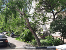 3-к. квартира, 63,6&nbsp;м²