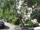 3-к. квартира, 63,6&nbsp;м²