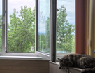 2-к. квартира, 48,7&nbsp;м²