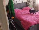 2-к. квартира, 40,7&nbsp;м²