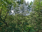 2-к. квартира, 44,2&nbsp;м²