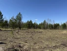 Участок (ижс), 13 сот.
