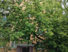 1-к. квартира, 31,2&nbsp;м²