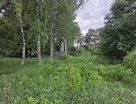 Участок (ижс), 6 сот.
