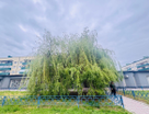 Торговые помещения, 1556 м²