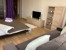 1-к. квартира, 45,5&nbsp;м²