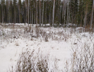 Участок (ижс), 12 сот.