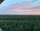 1-к. квартира, 37,4&nbsp;м²