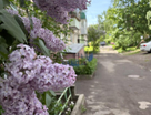 1-к. квартира, 31,6&nbsp;м²