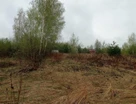 Участок (земля с/х назначения), 51 сот.