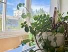 1-к. квартира, 30,1&nbsp;м²
