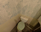 Студия, 21,2&nbsp;м²