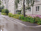 Студия, 16,9 м²