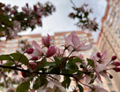 2-к. квартира, 78,9&nbsp;м²