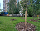 1-к. квартира, 56&nbsp;м²