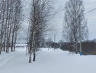 Участок (земля с/х назначения), 8 сот.