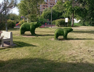 Участок (личное подсобное хозяйство), 8 сот.