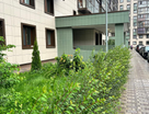 Студия, 25&nbsp;м²