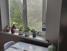 2-к. квартира, 49,8&nbsp;м²