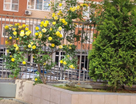 2-к. квартира, 49&nbsp;м²