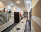 Студия, 24,2&nbsp;м²