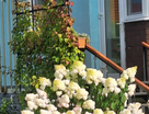 1-к. квартира, 46,2&nbsp;м²