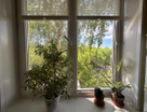 2-к. квартира, 45,9 м²